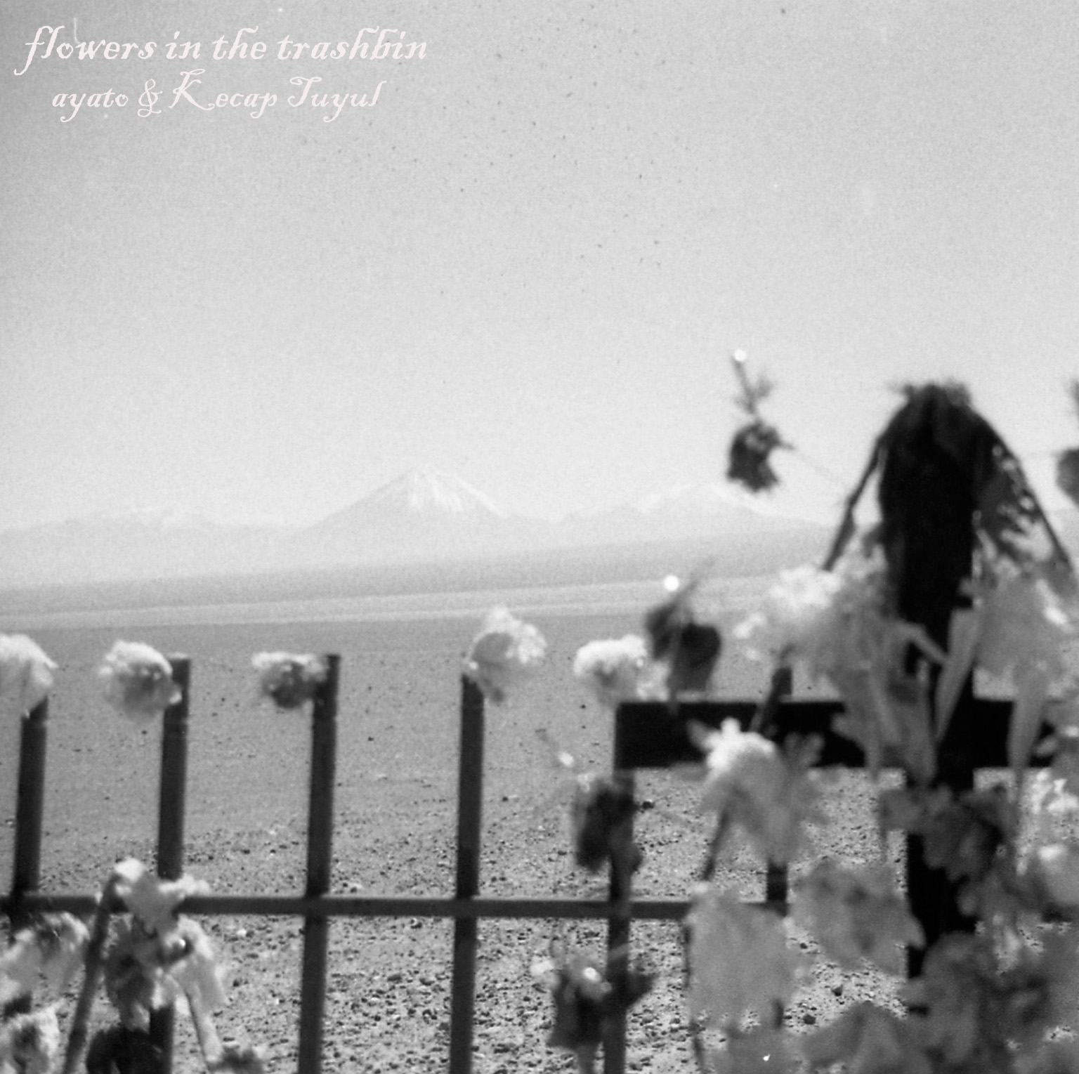 Ayato & Kecap Tuyul – Flowers in the Trashbin